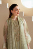 Alizeh Aymal Luxury Formals – AF-BHM-4042-Alish