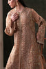Emaan Adeel Starlit Jewels Luxury Formals – Hessonite