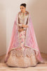 Alizeh Fleur Chiffon Formals – AF-CH-2193-Dina