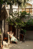 Firdous Sunspell Lawn – D146 - Mintaya