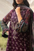 Charizma Vasal Chiffon Formals – VSLW6-12
