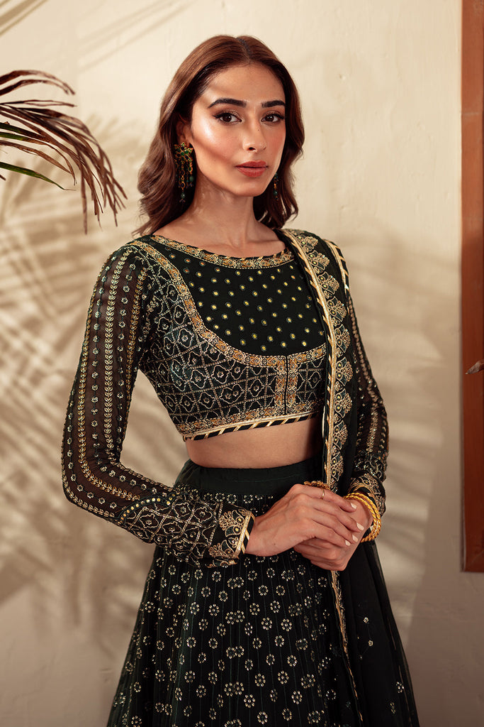 Neeshay Dastaan Green Chiffon Embroidered Formal Pakistani Suit ...