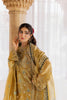 Rang Rasiya Chatoyer Luxury Wedding Formals – Dora