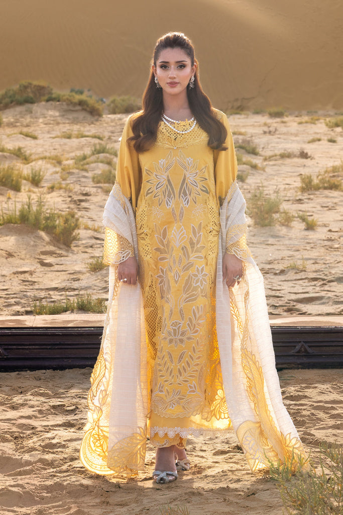 Rang Rasiya Premium Summer Lawn – Hoorain