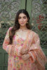 RajBari Printkari Lawn Exclusive Collection – 6-A