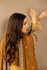 Adan's Libas Chiffon Formals – 6204
