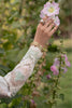 Zarposh Celia Luxury Lawn – Elaris