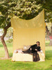 Mahnur Nilofer Luxury Lawn – NL-14