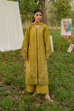 Rang Rasiya Nova
