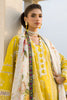 Zellbury Chikankari – Embroidered Shalwar Dupatta - 0073