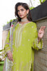 Zellbury Chikankari – Embroidered Shalwar Dupatta - 0081