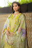 Zellbury Chikankari – Embroidered Shalwar Dupatta - 0081