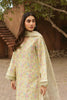 Ayzel Core Collection Lawn Vol-II – Orla