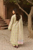 Ayzel Core Collection Lawn Vol-II – Orla