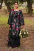 Ramsha Dhanak Lawn – DH-102