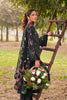 Ramsha Dhanak Lawn – DH-102