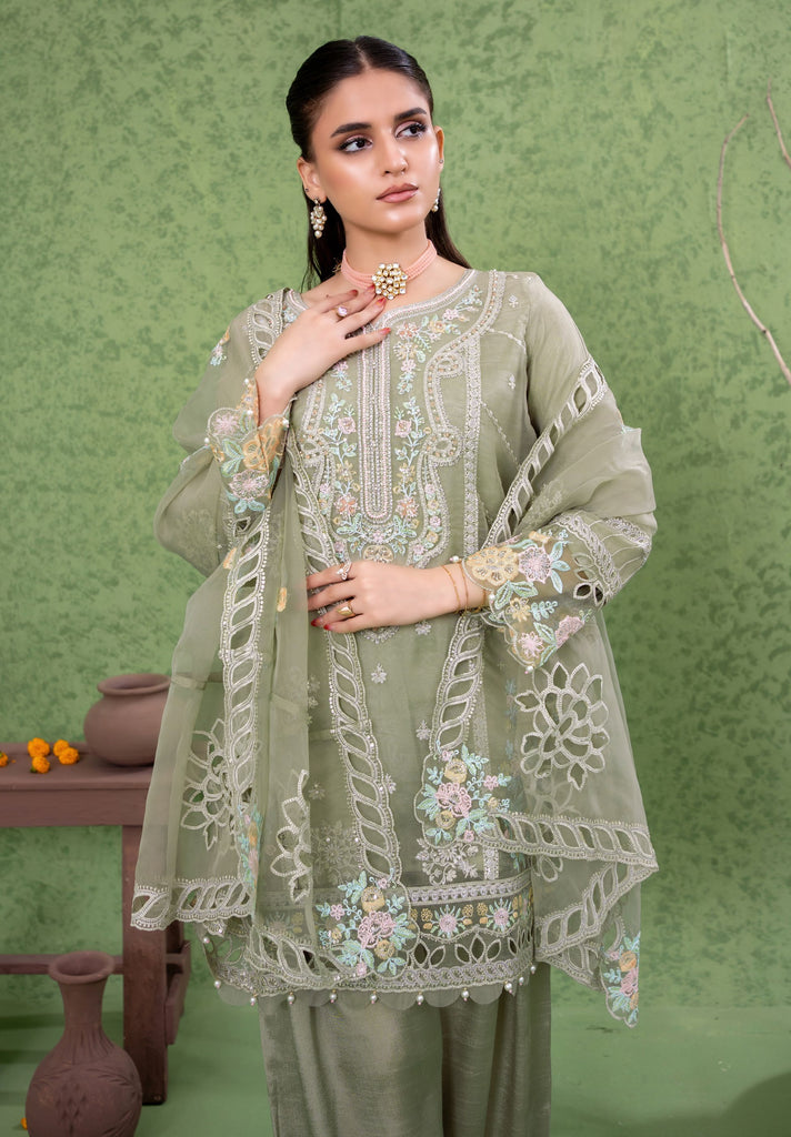 Kahani Festive Pret Organza Formals – D-10