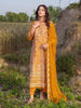 Ombre Luxury Shamooz Silk Pret/Stitched – D-03