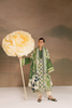 Daria Dastaan by Nureh Pre-Fall Edit – DA-158