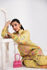 Aabyaan Signature Pair Co-ords RTW – ELARA (AX-02)