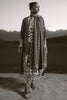 Sana Safinaz Luxury Winter '24 with Shawl – S241-007A-3CP