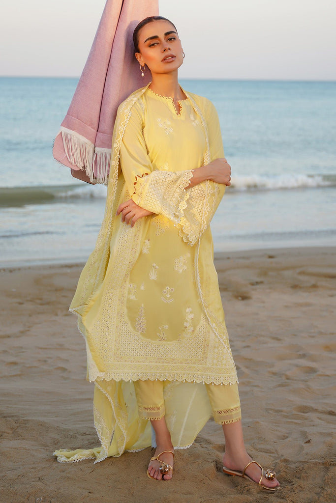 Sahar Festive Chikankari Lawn – S24-CK-V2-09