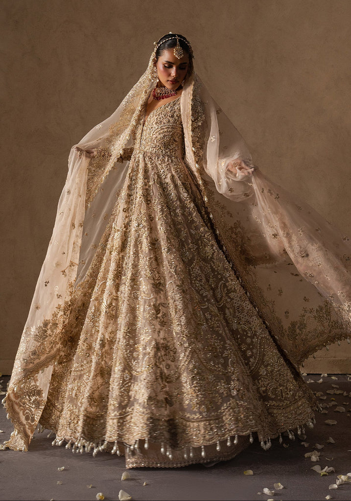 Afrozeh The Brides Edit Luxury Wedding Formals – Catarine