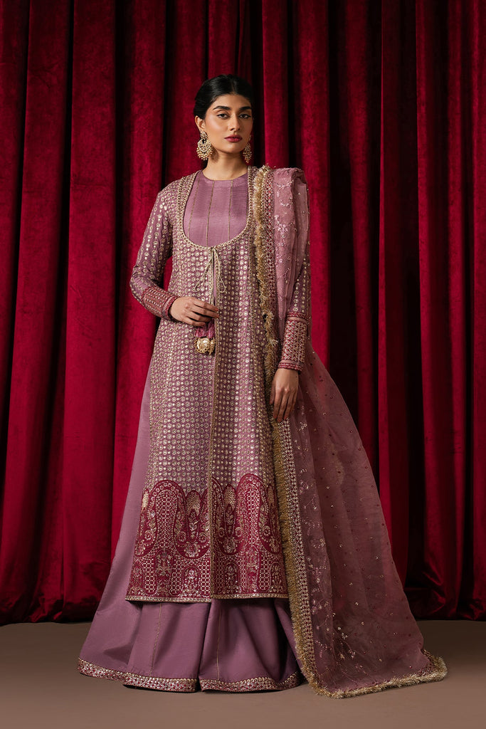 Ayzel Qurbat Silk Festive Luxury Formals – Humnishin