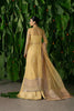 Ayzel Pehli Nazar Luxury Formals – Chahat