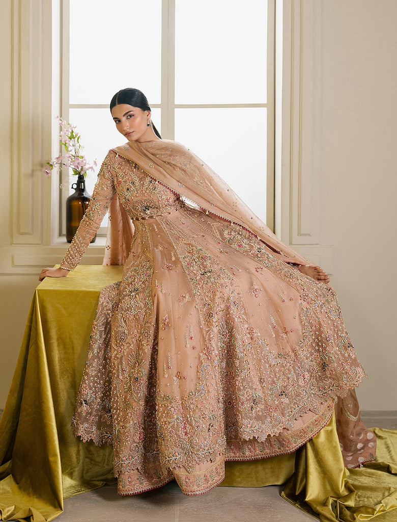 Ayzel Solaris Luxury Wedding Festive Formals – AURALIS