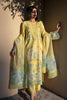Rang Rasiya Premium Lawn Collection 2024 – Amani
