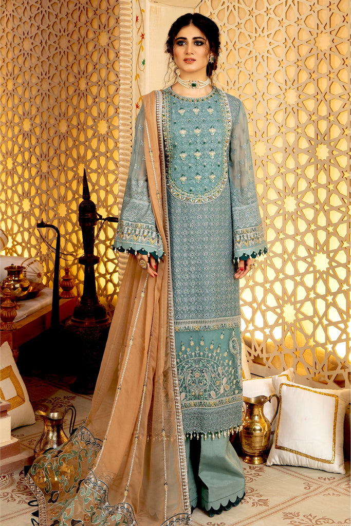 Adan's Libas Ravia Schiffli Embroidered Chiffon Collection – Afreen