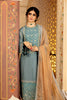 Adan's Libas Ravia Schiffli Embroidered Chiffon Collection – Afreen