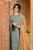 Adan's Libas Ravia Schiffli Embroidered Chiffon Collection – Afreen