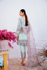 Ramsha Chevron Lawn Collection 2020 – C-309