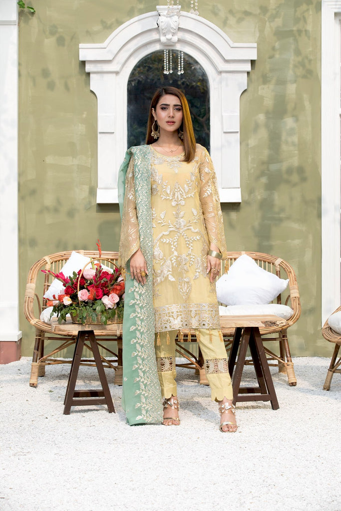 Farmaish Chiffon Collection by Zebtan – Design 03