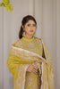 Emaan Adeel Ishq Aatish Formal Collection – FARAH