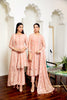 Alizeh Embroidered Chiffon Royale De Luxe Collection – Alana