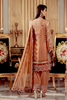 Serene Premium Beaux Rêves Embroidered Chiffon Collection 2020 – S-1004 Rust Tickle