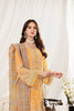 Alizeh Dhaagay Stitched/Pret Luxury Formal Wear – Zayur - V03D04