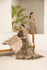 Alizeh Lamhay Festive Formal Collection – Embroidered Net Skin - V15D02 - Emhal