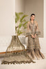 Alizeh Lamhay Festive Formal Collection – Embroidered Net Skin - V15D02 - Emhal