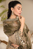 Alizeh Lamhay Festive Formal Collection – Embroidered Net Skin - V15D02 - Emhal
