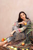 Ramsha Chevron Lawn Collection 2020 – C-402