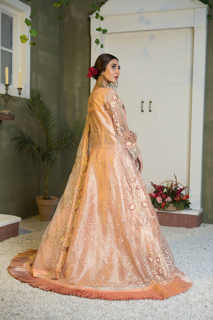 Farmaish Chiffon Collection Peach Net Pakistani Wedding Suit – Design ...