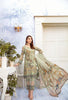 Ramsha Chevron Chiffon Collection Vol 2 2020 – A-204
