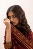 Lakhany Pashmina Prints – LG-RM-0011-C