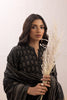 Lakhany Pashmina Prints – LG-AM-0049-B