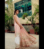 Afsanaah by Rungeela Dhagaa Festive Luxury Collection – ASL004