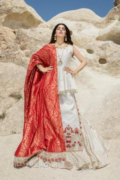 Noor by Saadia Asad Festive Eid Collection 2018 – D6 Braise Jasmin